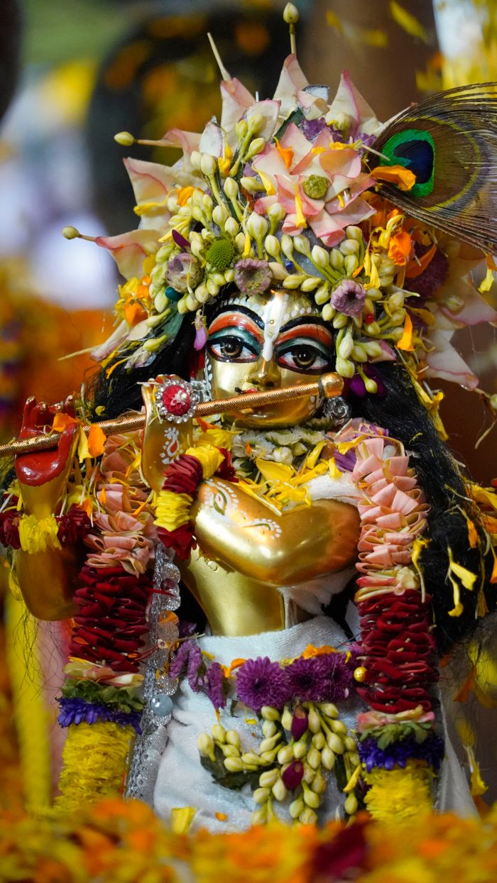 Vrindavan TravelSmart Braj Tour